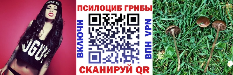 Галлюциногенные грибы прущие грибы  blacksprut зеркало  Новоаннинский 